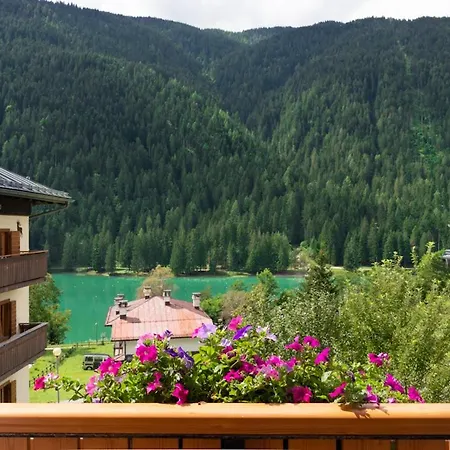 Erika * Auronzo di Cadore