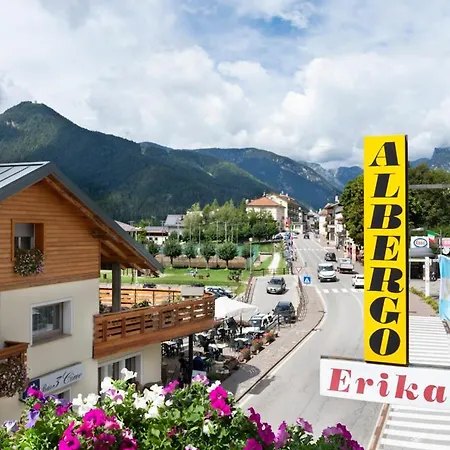 Erika 2* Auronzo di Cadore