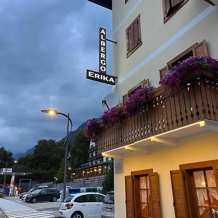 Erika 2*