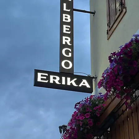 Ξενοδοχείο Erika Auronzo di Cadore